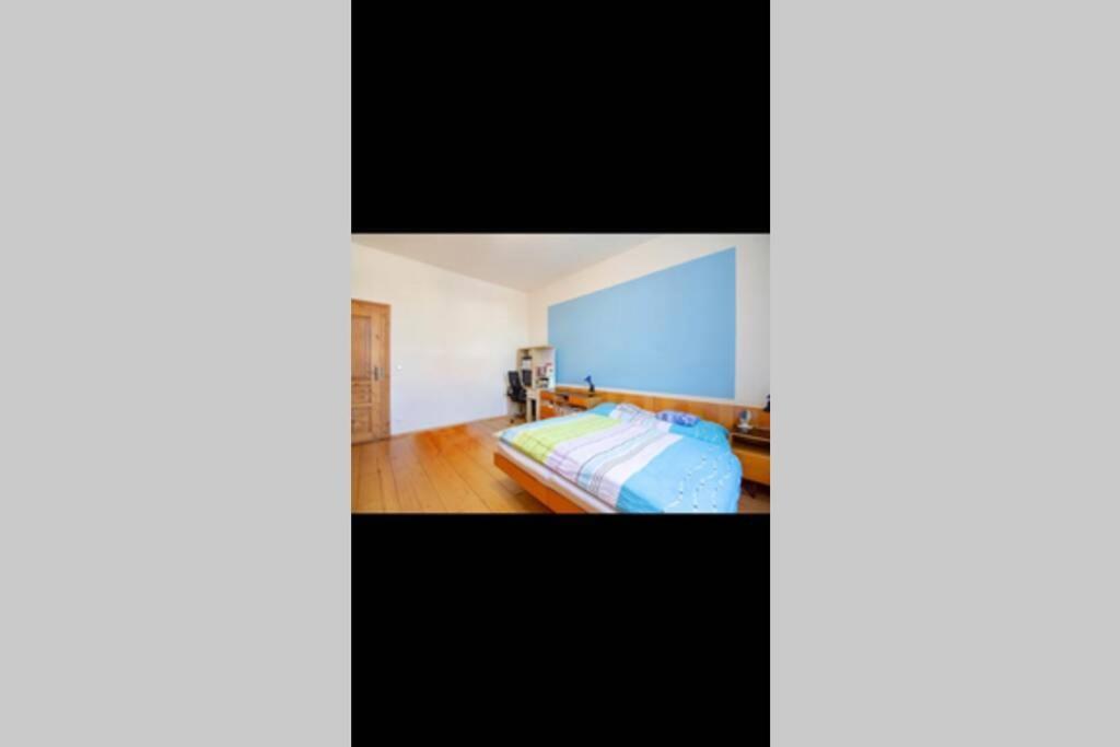 Zámecký apartmán v Horní Plané Horni Plana Exterior foto